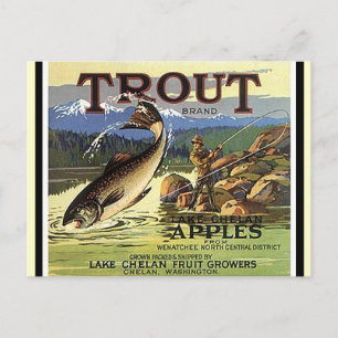 Vintage Trout Brand Fly Fisherman Äpfel Postkarten