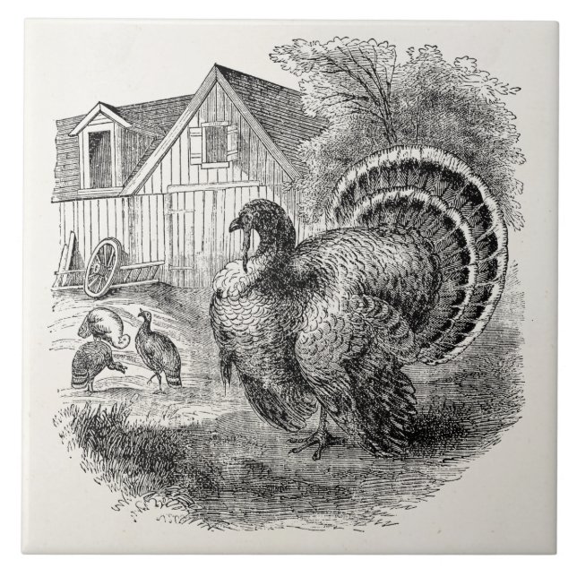Vintage Truthähne - personalisierte die Fliese (Vorderseite)