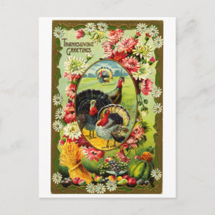 Vintage Truthähne zum Erntedankfest Postkarte