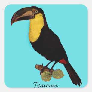VINTAGE-TUKAN-VOGEL. GELBSCHNABEL-TUKAN-AUFKLEBER QUADRATISCHER AUFKLEBER