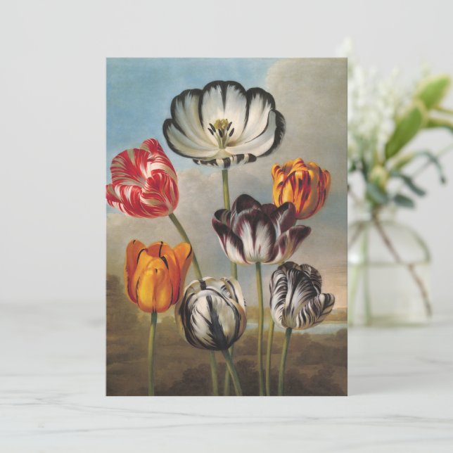 Vintage Tulip-Blume in einer Landschaft (Stehend Vorderseite)