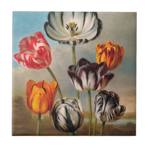 Vintage Tulip-Blume in einer Landschaft Fliese