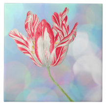 Vintage Tulip Keramik Tile