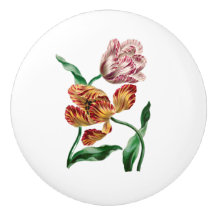 Vintage-Tulpen-Botanische-Illustration