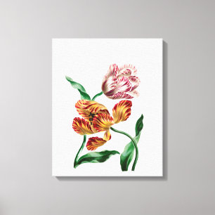 Vintage-Tulpen-Botanische-Illustration Leinwanddruck