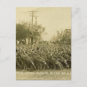 Vintage Türkei-Bauernfotografie Postkarte