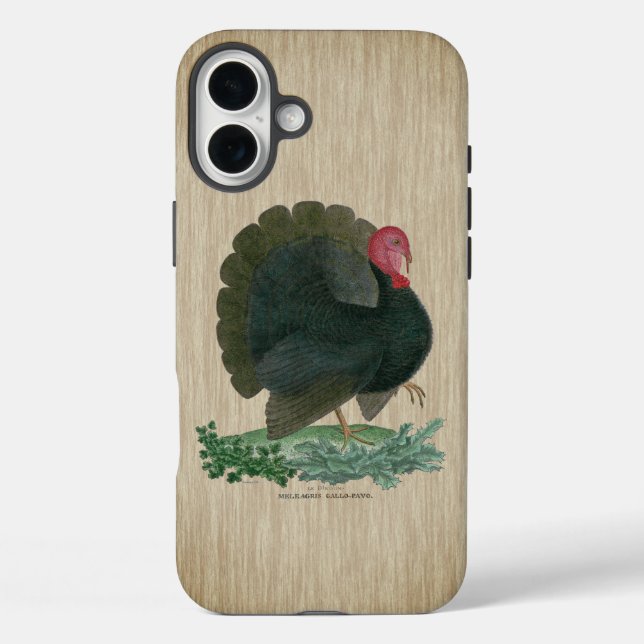 Vintage Türkei Case-Mate iPhone Hülle (Rückseite)