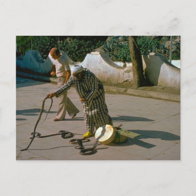 Vintage Türkei - Istanbul Snake charmer Postkarte (Vorderseite)