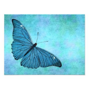 Vintage Türkisblaue Butterfly-Illustration aus dem Fotodruck