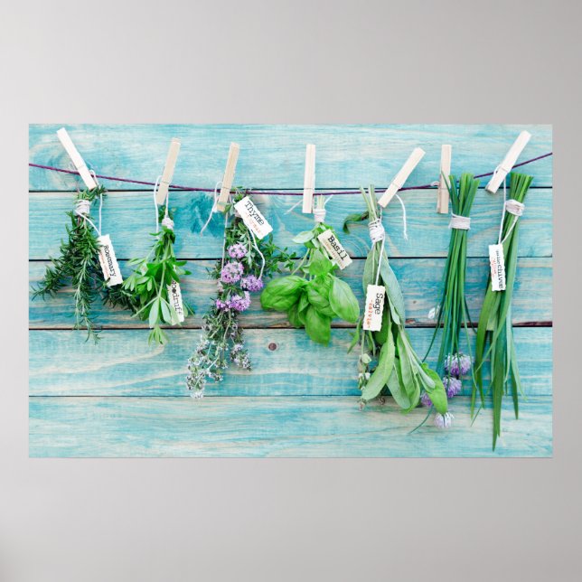 Vintage türkisfarbene Mauer mit Kräutern Poster (Vorne)