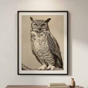 Vintage-Uhu-Antik-Sepia-Vogel Poster
