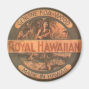 Vintage-Ukelele-Etikettenmagnet Magnet