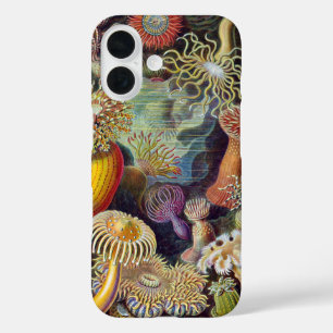 Vintage Unterwasser Seeanemonen von Ernst Haeckel iPhone 16 Hülle