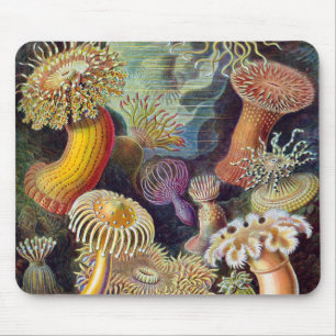 Vintage Unterwasser Seeanemonen von Ernst Haeckel Mousepad