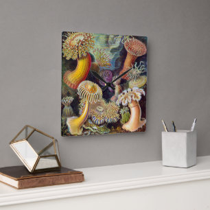 Vintage Unterwasser-Seerosen von Ernst Haeckel Quadratische Wanduhr