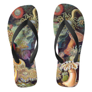 Vintage Unterwasserseelemone von Ernst Haeckel Flip Flops