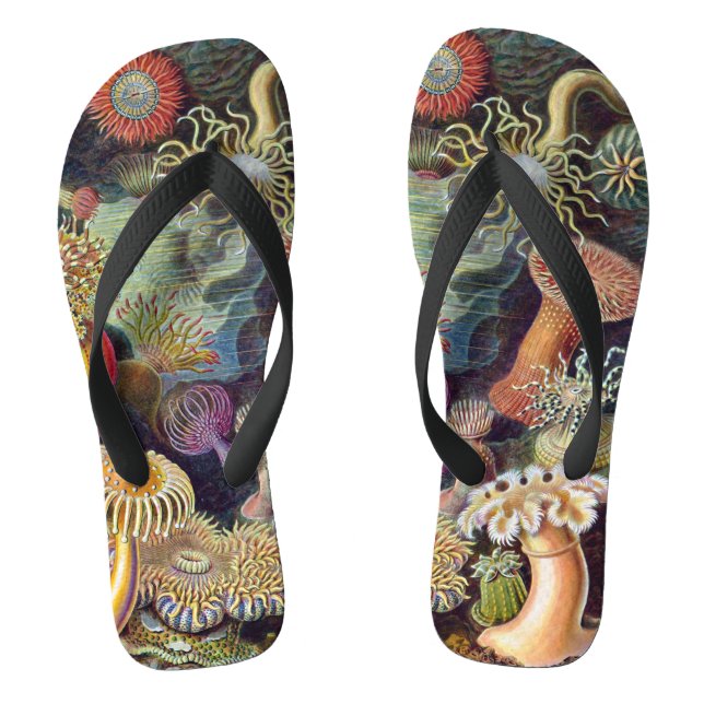 Vintage Unterwasserseelemone von Ernst Haeckel Flip Flops (Fußbett)