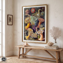 Vintage Unterwasserseelemone von Ernst Haeckel