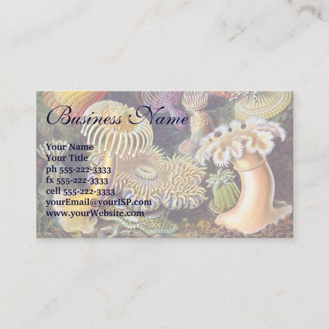 Vintage Unterwasserseelemone von Ernst Haeckel Visitenkarte (Vorderseite)