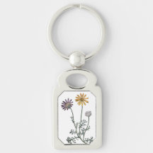 Vintage Ursinia Anthemoides Solar Fire Botanisches