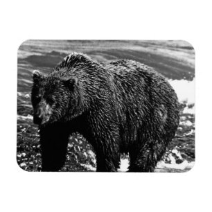Vintage USA Alaska Braunbär 1970 Magnet