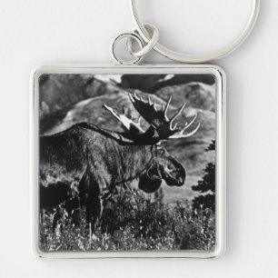 Vintage USA Alaska Bull Elch 1970 Schlüsselanhänger