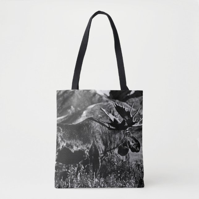 Vintage USA Alaska-Bulle (Vorderseite)