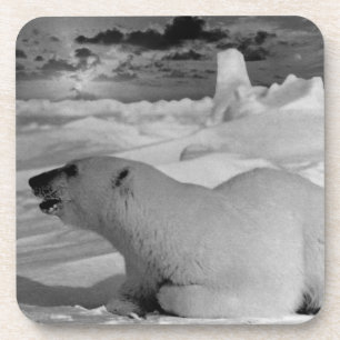 Vintage USA Alaska Eisbär Getränkeuntersetzer