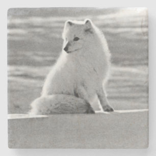 Vintage USA Alaska Polarfuchs Steinuntersetzer