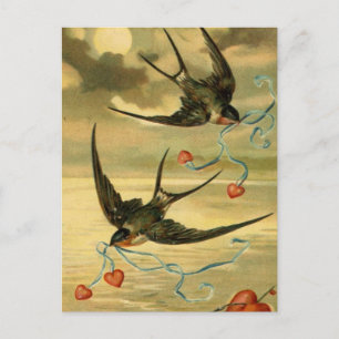 Vintage Valentine Barn Swallows With Hearts Feiertagspostkarte