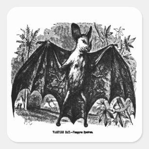 Vintage Vampir-Fledermaus-Aufkleber Quadratischer Aufkleber