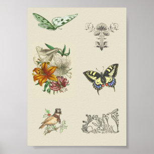 Vintage Varieté-druckbare Scrapbooking-Images Poster