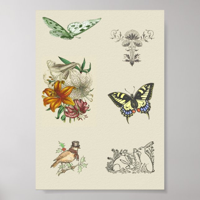 Vintage Varieté-druckbare Scrapbooking-Images Poster (Vorne)