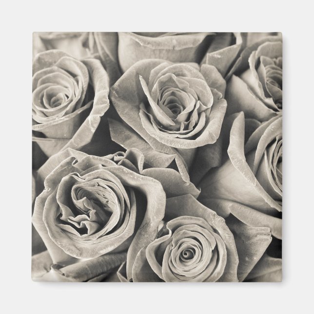 Vintage Velvet-Beauty Magnet (Vorne)