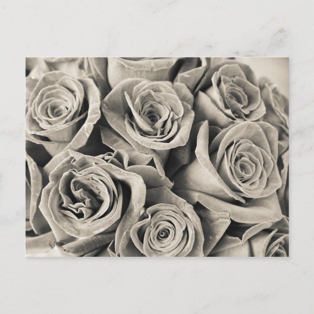 Vintage Velvet-Beauty Postkarte (Vorderseite)