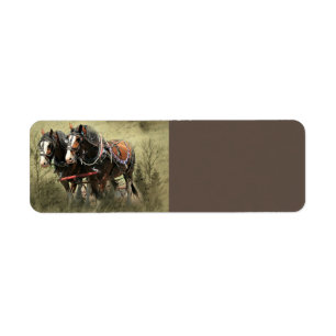 Vintage verwitterte Clydesdale-Postkarte