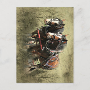 Vintage verwitterte Clydesdale-Postkarte Postkarte