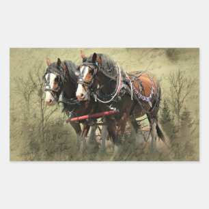 Vintage verwitterte Clydesdale-Postkarte Rechteckiger Aufkleber