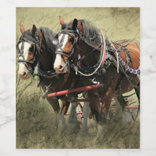 Vintage verwitterte Clydesdale-Postkarte Weinetikett