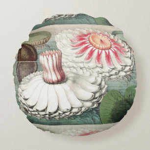 Vintage Victoria Regia Seerosen Kunst Druck Rundes Kissen