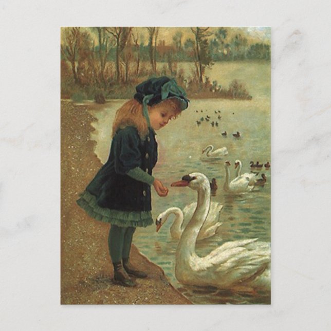 VINTAGE VIKTORIANISCH Fütternd Trumpeter Swans POS Postkarte (Vorderseite)