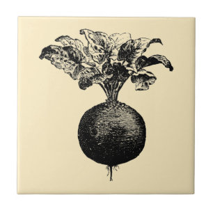 Vintage Viktorianische Ära Obst und Gemüse Rüben u Fliese