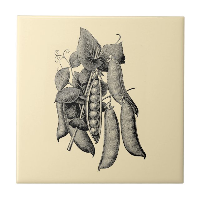 Vintage Viktorianische Ära Obst- und Gemüseerbsen Fliese (Vorderseite)