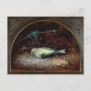 Vintage Viktorianische Dead Bird Postkarte