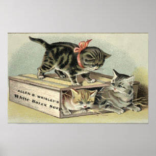 Vintage Viktorianische Era Kittens Soap Ad Poster