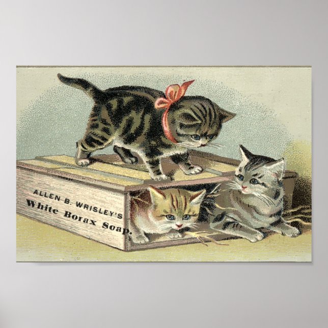 Vintage Viktorianische Era Kittens Soap Ad Poster (Vorne)