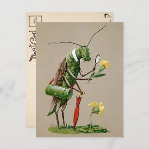 Vintage Viktorianische Grasshopper Postkarte