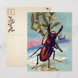 Vintage viktorianische Käfer-Weihnachts-Postkarte Postkarte