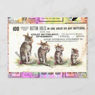Vintage Viktorianische Katzen mit Zahnschmerzen Po Postkarte