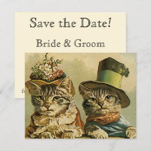 Vintage viktorianische lustige Katzen in Hüten Sav Save The Date